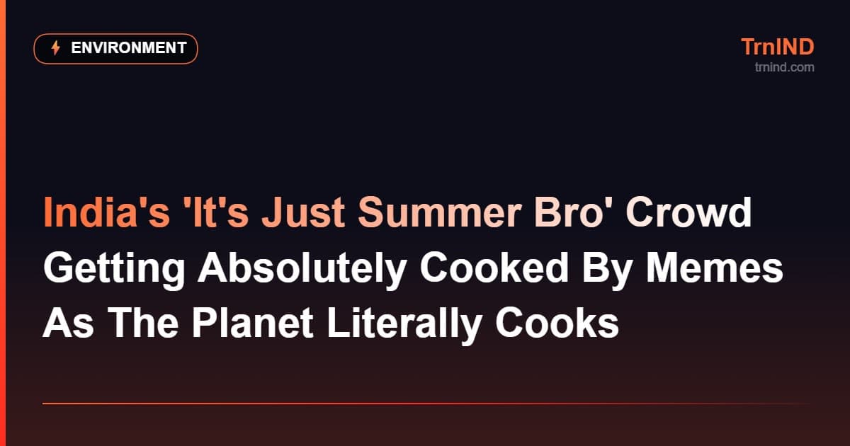 India's 'It's Just Summer Bro' Crowd Getting Absolutely Cooked By Memes As The Planet Literally Cooks
