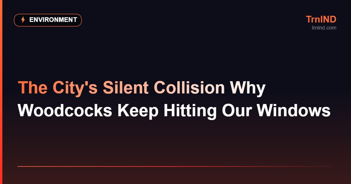 The City's Silent Collision Why Woodcocks Keep Hitting Our Windows