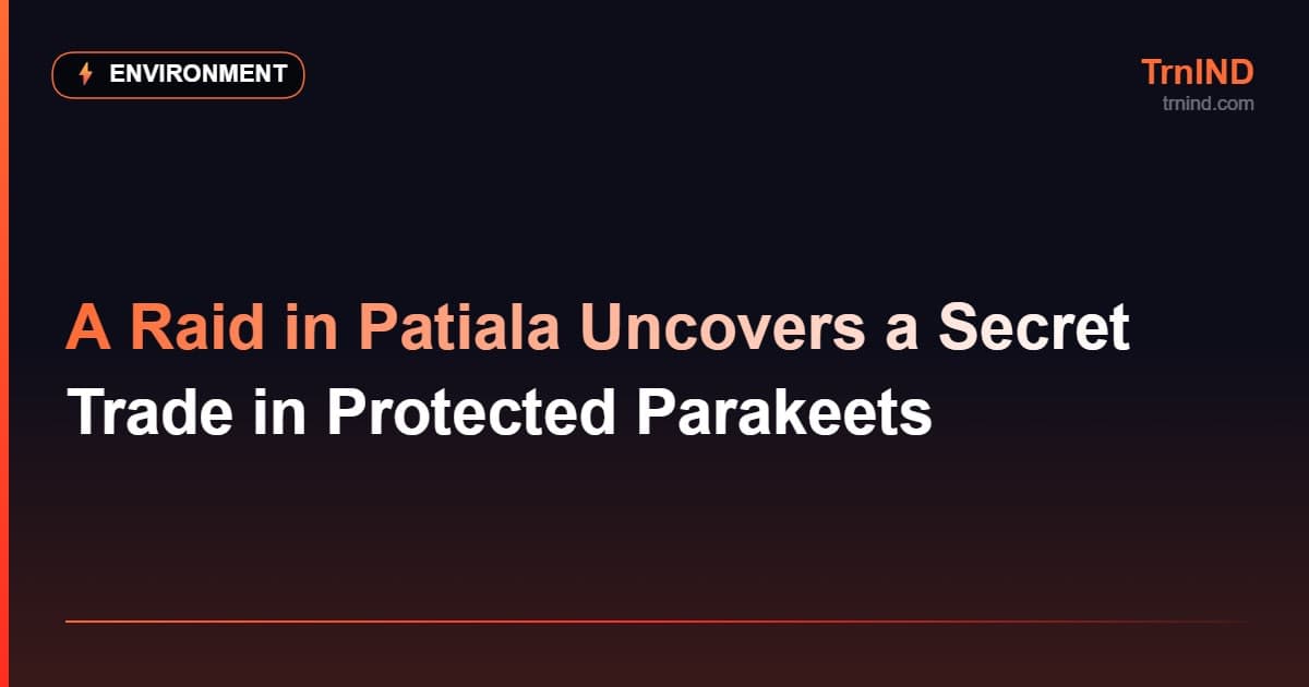 A Raid in Patiala Uncovers a Secret Trade in Protected Parakeets