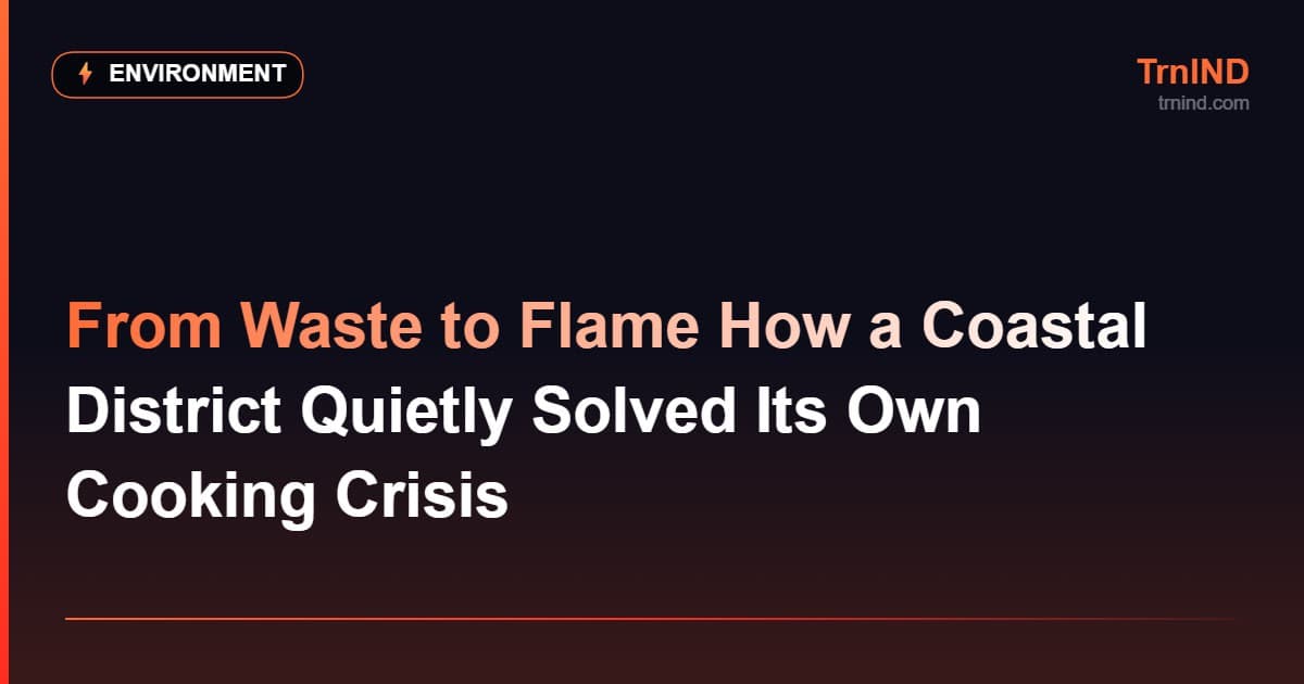 From Waste to Flame How a Coastal District Quietly Solved Its Own Cooking Crisis