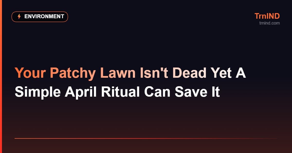 Your Patchy Lawn Isn't Dead Yet A Simple April Ritual Can Save It