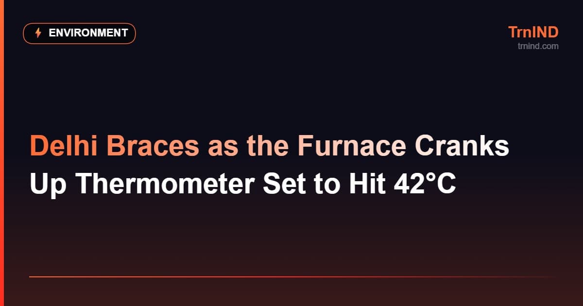 Delhi Braces as the Furnace Cranks Up Thermometer Set to Hit 42°C