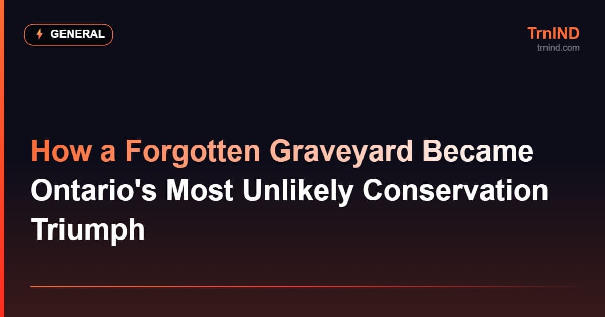 How a Forgotten Graveyard Became Ontario's Most Unlikely Conservation Triumph – General