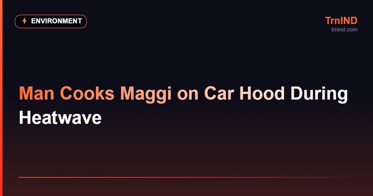 Man Cooks Maggi on Car Hood During Heatwave – Environment