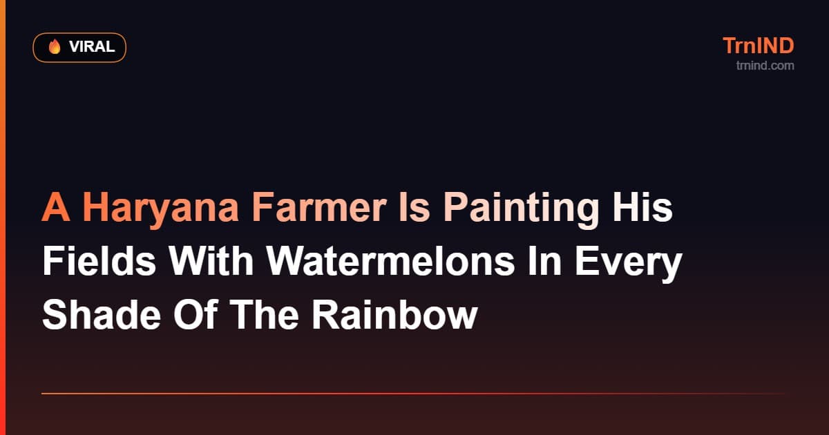 A Haryana Farmer Is Painting His Fields With Watermelons In Every Shade Of The Rainbow – Viral